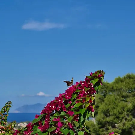 Kalon Sicily With Private Pool Sea View Villa
